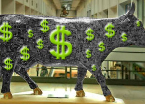 WhatsApp Image 2022-05-09 at 09.07.31