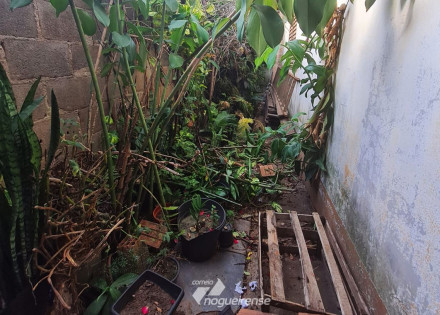 morador-de-artur-nogueira-e-notificado-a-fazer-limpeza-em-seu-quintal-correio-nogueirense-cpa