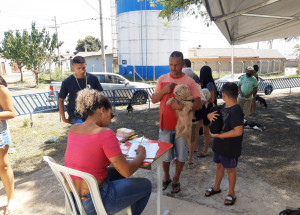 vacina em dia - raiva