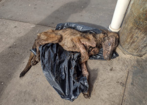 WhatsApp Image 2022-06-02 at 14.37.31