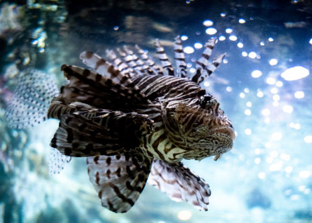 2019-07-21t172155z_1465289250_mt1hnslcs000zbtg68_rtrmadp_3_hans-lucas