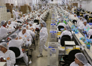 2022-02-25t215644z_1_lynxmpei1o19i_rtroptp_4_brazil-cocoa