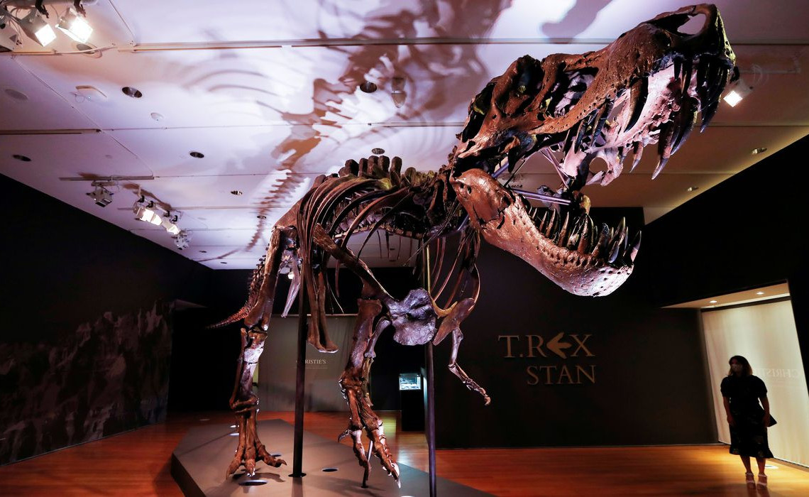 2022-07-25t222255z_1_lynxmpei6o0z5_rtroptp_4_science-tyrannosaurus