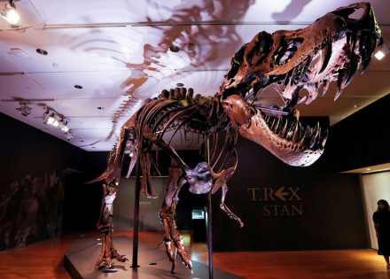 2022-07-25t222255z_1_lynxmpei6o0z5_rtroptp_4_science-tyrannosaurus