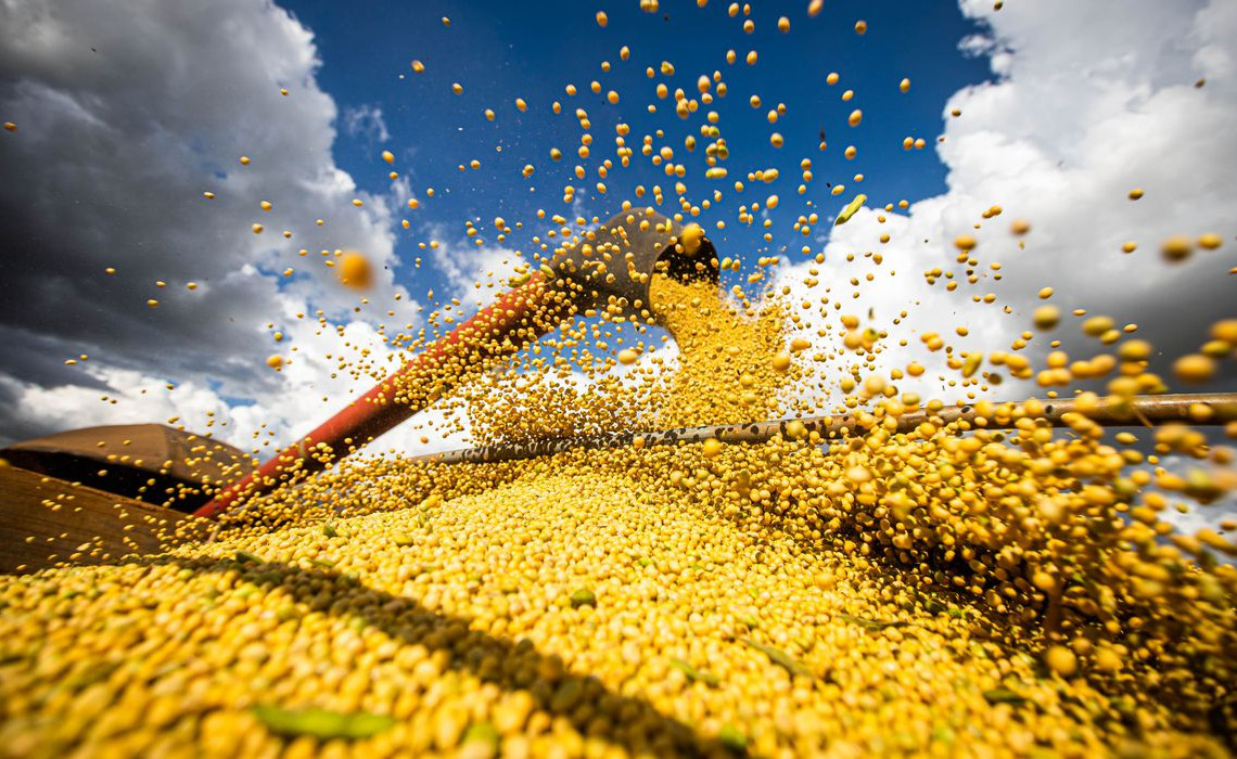 Colheita de soja. Foto: Wenderson Araujo/Trilux