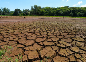 CAMPANHA ESTIAGEM 2022