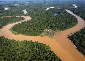 WhatsApp Image 2022-07-08 at 07.57.35