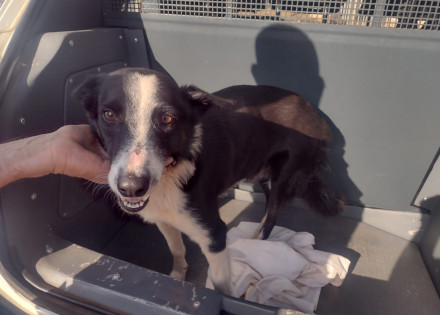 WhatsApp Image 2022-07-14 at 20.31.35