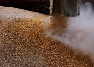 WhatsApp Image 2022-07-25 at 07.17.07