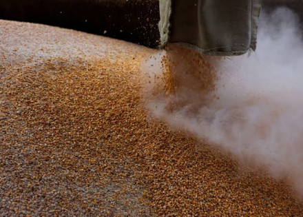 WhatsApp Image 2022-07-25 at 07.17.07