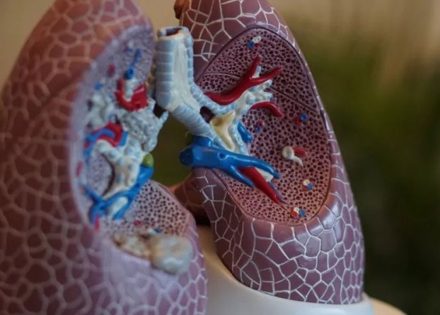 agosto-branco-chama-atencao-para-o-cancer-de-pulmao-correio-nogueirense