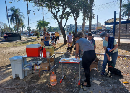 vacina contra raiva no sacilotto