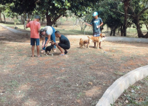 vacina raiva sacilotto 4