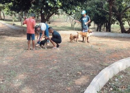 vacina raiva sacilotto 4