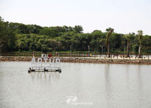 vereador-solicita-a-recolocacao-do-letreiro-luminoso-na-lagoa-do-balneario-correio-nogueirense