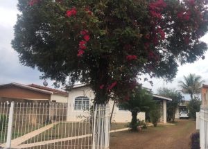 zoonoses-atende-em-novo-endereco-em-artur-nogueira-correio-nogueirense