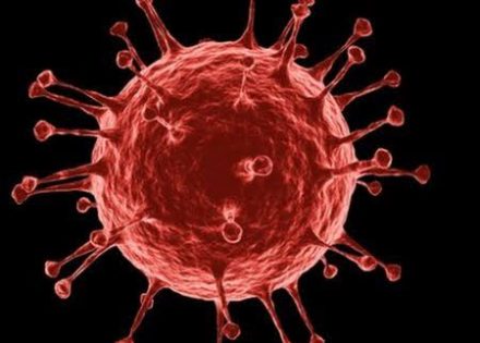 WhatsApp Image 2022-11-20 at 10.25.39