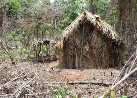 WhatsApp Image 2022-11-27 at 09.53.47