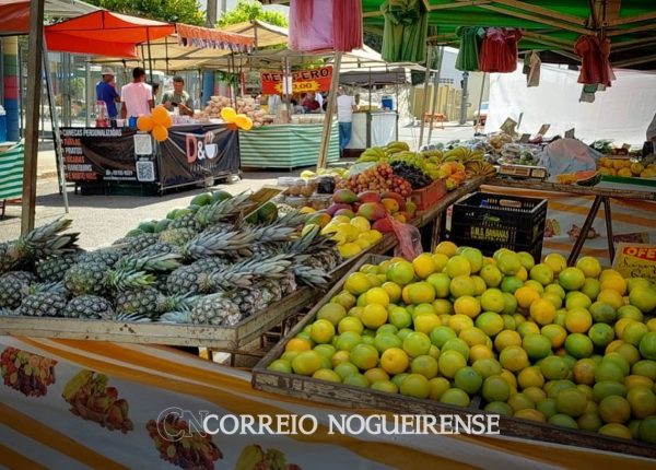 Feira Livre do Blumenau é transferida às quintas-feiras em Artur ...