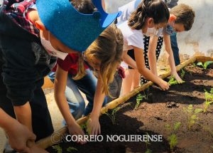 Foto: Divulgação/Prefeitura de Artur Nogueira