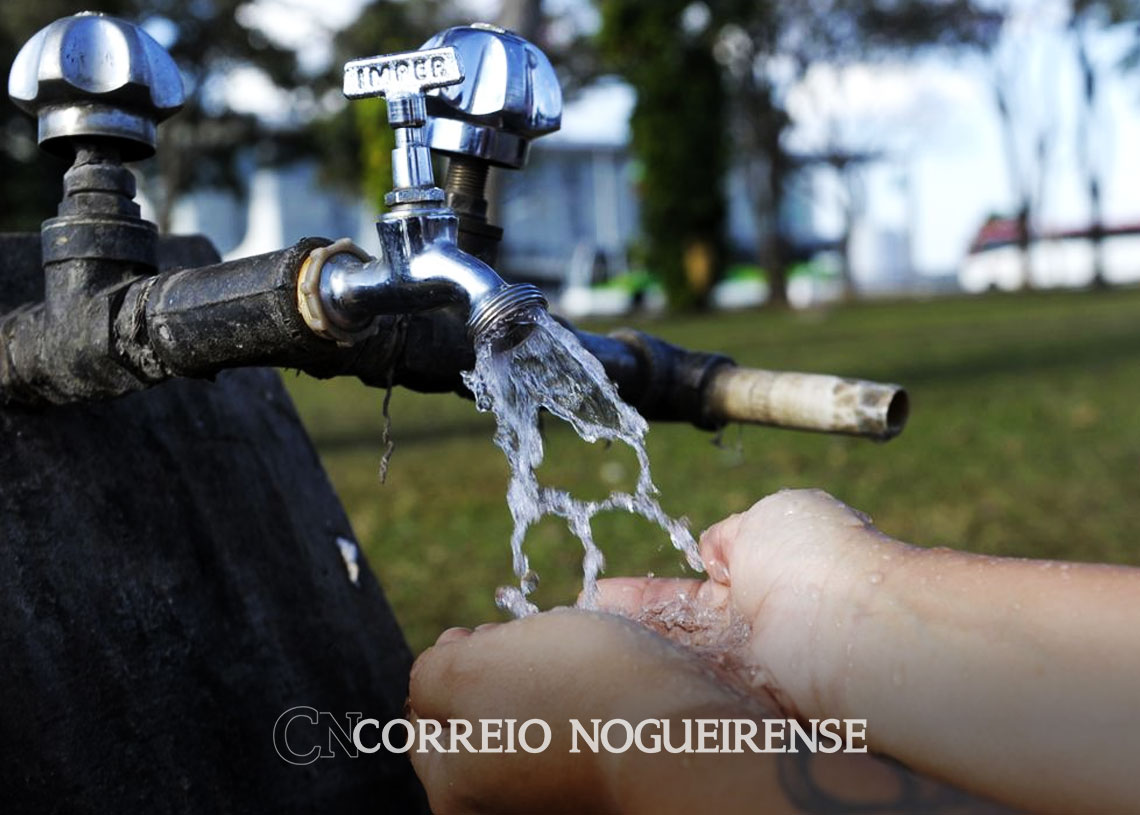 preocupacao-com-meio-ambiente-se-reflete-em-habitos-de-consumo-correio-nogueirense