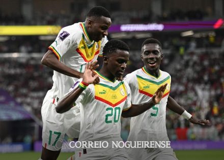 senegal-vence-por-3-a-1-e-acaba-com-chances-de-classificacao-do-catar-correio-nogueirense