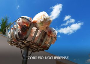 coleta-de-lixo-tem-esquema-especial-no-final-de-ano-em-artur-nogueira-2-correio-nogueirense
