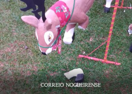 decoracoes-de-natal-sao-alvos-de-vandalismo-em-artur-nogueira-correio-nogueirense