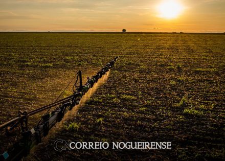 ibge-32-dos-solos-do-pais-tem-potencial-natural-para-a-agricultura-correio-nogueirense