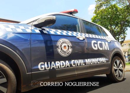 pesquisa-do-ibge-mostra-subnotificacao-de-roubos-e-furtos-no-brasil-correio-nogueirense