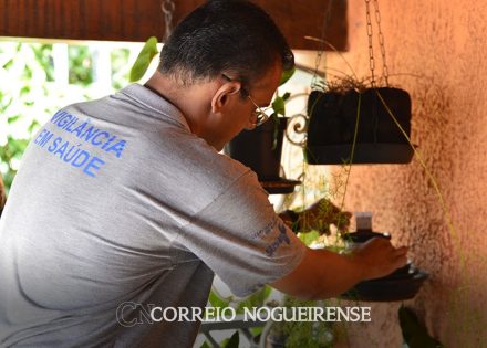 secretaria-de-saude-de-indaiatuba-divulga-dicas-de-fim-de-ano-para-prevencao-contra-dengue-chikungunya-e-zika-virus-2-correio-nogueirense