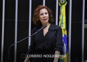 stf-suspende-porte-de-arma-da-deputada-carla-zambelli-correio-nogueirense