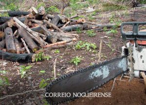 em-2022-amazonia-teve-maior-desmatamento-em-15-anos-diz-imazon-correio-nogueirense