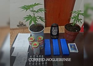 guarda-municipal-faz-campana-com-viatura-descaracterizada-e-encontra-vasos-com-pes-de-maconha-em-residencia-de-artur-nogueira-correio-nogueirense