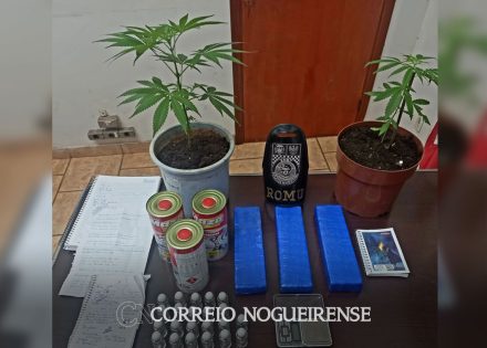 guarda-municipal-faz-campana-com-viatura-descaracterizada-e-encontra-vasos-com-pes-de-maconha-em-residencia-de-artur-nogueira-correio-nogueirense