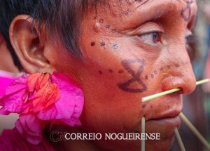 mpf-diz-que-situacao-dos-yanomami-foi-causada-por-omissao-do-estado-correio-nogueirense