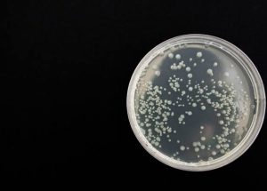 WhatsApp Image 2023-02-07 at 17.02.36