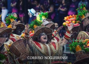 africa-nordeste-e-humor-marcam-desfile-das-escolas-de-sao-paulo-correio-nogueirense