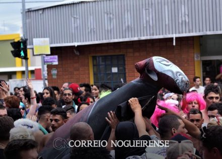 bloco-da-vaca-volta-as-ruas-de-artur-nogueira-neste-domingo-19-correio-nogueirense