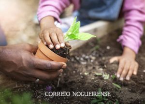 curso-orienta-educadores-sobre-como-levar-a-natureza-para-as-escolas-correio-nogueirense