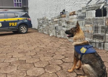 droga-prf-27-fev-2023-848x477