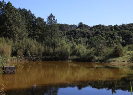 Parque Natural Municipal Varginha