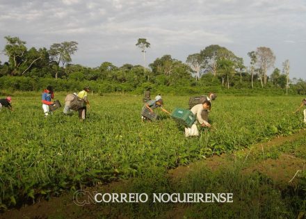 onu-incluir-pequeno-produtor-e-base-de-sistema-alimentar-resiliente-correio-nogueirense