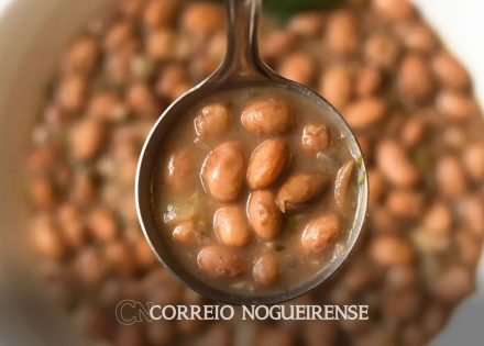 pesquisa-aponta-que-feijao-e-aliado-na-luta-contra-obesidade-correio-nogueirense