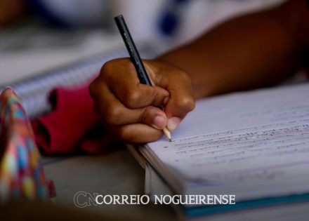 plano-nacional-de-educacao-entra-na-reta-final-sem-cumprir-maioria-das-metas-correio-nogueirense