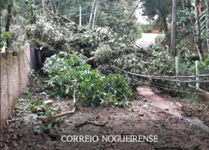 png_20230203_090528_0000