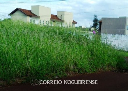 prefeitura-notifica-2-215-proprietarios-para-limpeza-de-terrenos-em-artur-nogueira-correio-nogueirense