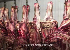 abate-de-bovinos-no-brasil-volta-a-crescer-apos-dois-anos-de-queda-correio-nogueirense