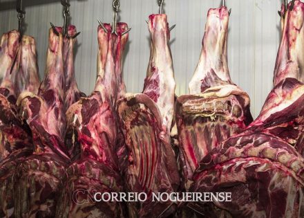 abate-de-bovinos-no-brasil-volta-a-crescer-apos-dois-anos-de-queda-correio-nogueirense