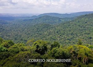 amazonia-reducao-da-pobreza-e-do-desmatamento-podem-coexistir-correio-nogueirense